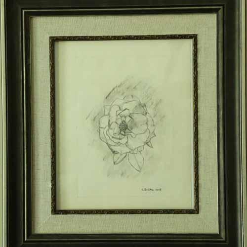 "Flower" in Pencil (photo of Flower taken at the New York Botanical Garden (For Sale $125) : Still Life : Susan Braha Photography and Fine Art