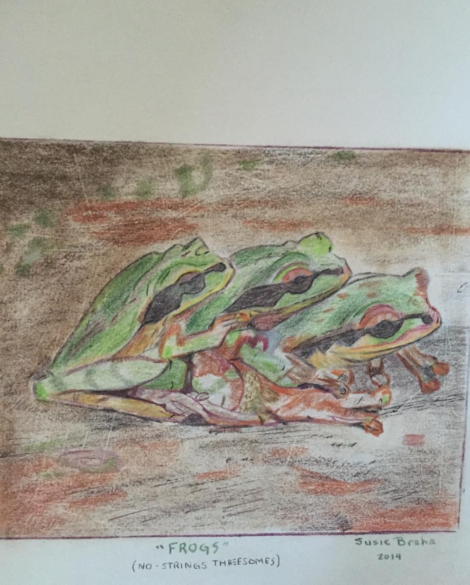 "Frogs" Colored pencils & Ink  Photo from New York Magazine above article by Maureen O'Connor"No Strings Threesomes"
For Sale $250. : Portraits : Susan Braha Photography and Fine Art