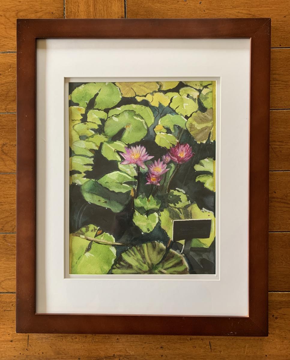 "Tropical Waterlilies, Blue Aster" Original Photo taken by me at the Botanical Gardens.
Watercolor (For Sale $275) : Landscapes : Susan Braha Photography and Fine Art