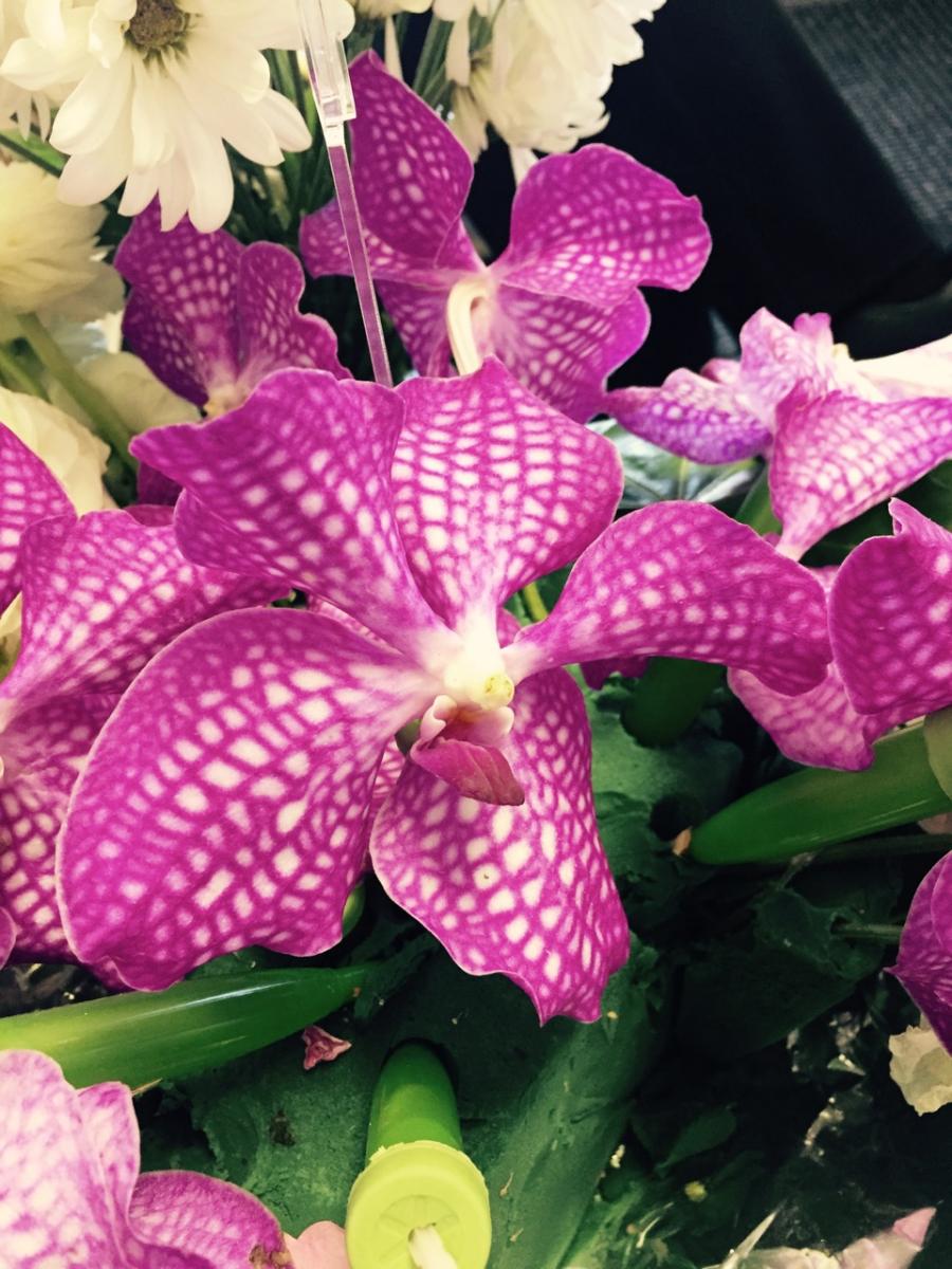 "Fabulous Orchid" 
Arrangement (2015) : Photography : Susan Braha Photography and Fine Art