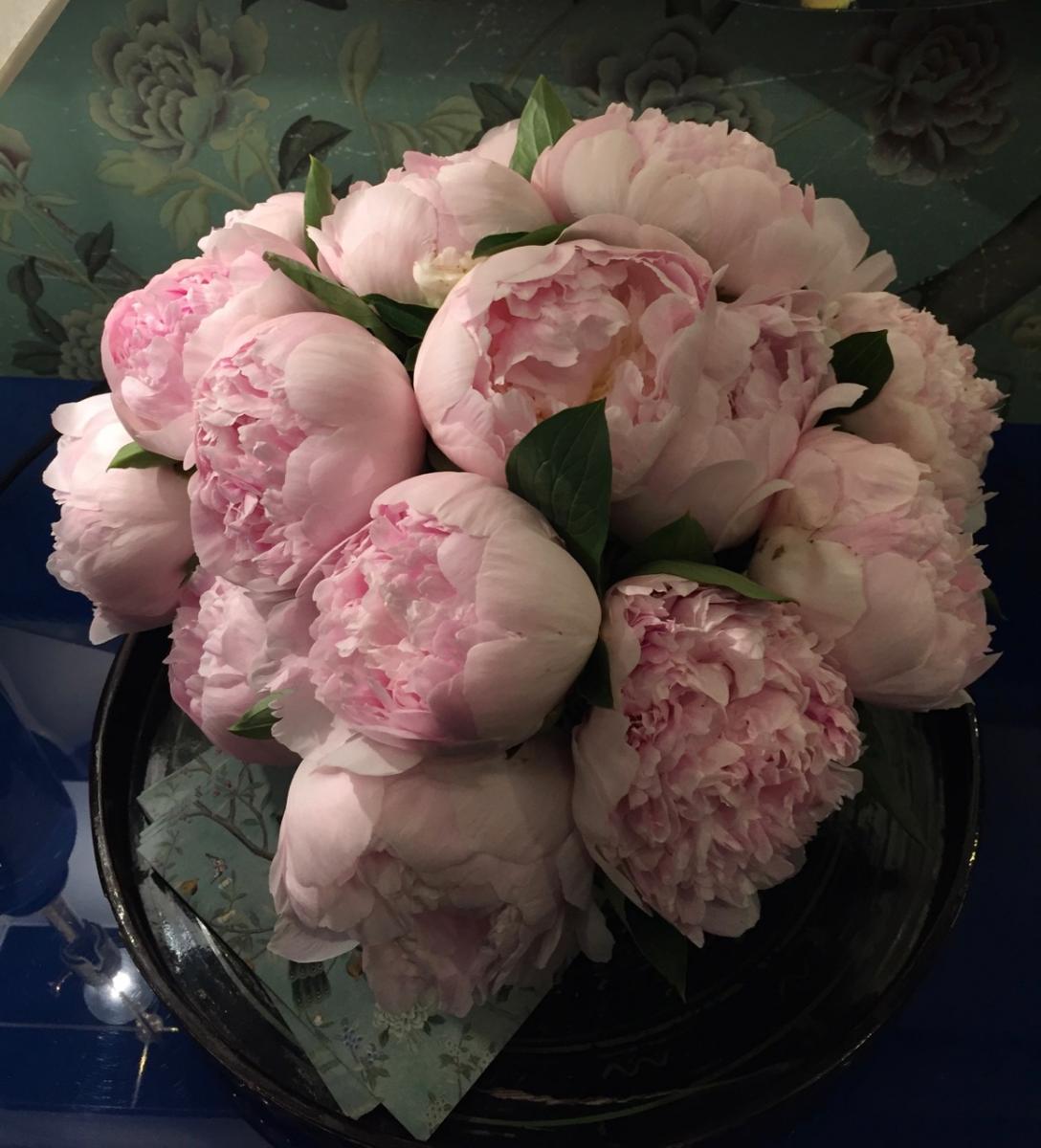 Peonies! So Beautiful!
(2016) : Photography : Susan Braha Photography and Fine Art