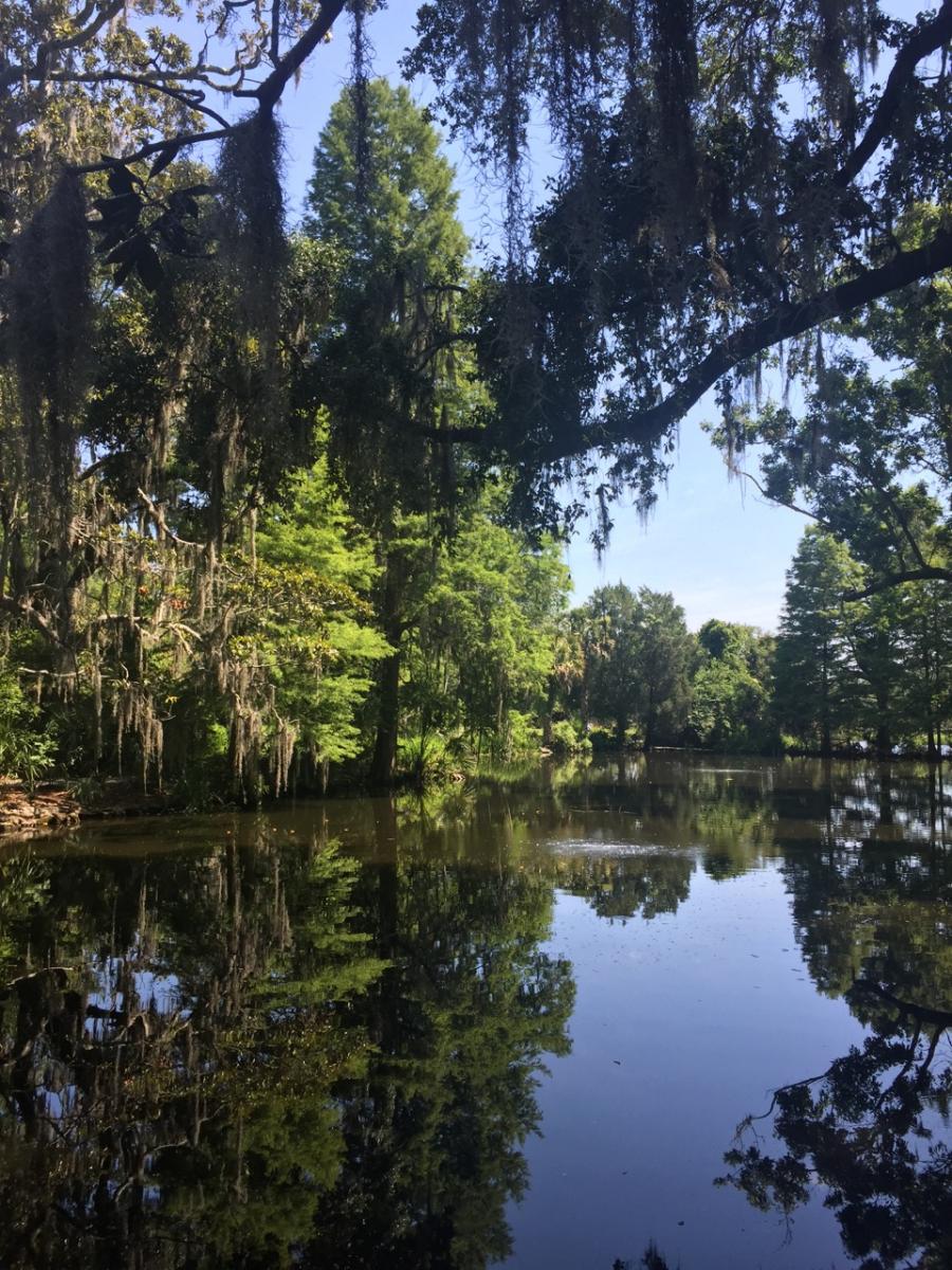 South Carolina (2016) : Photography : Susan Braha Photography and Fine Art