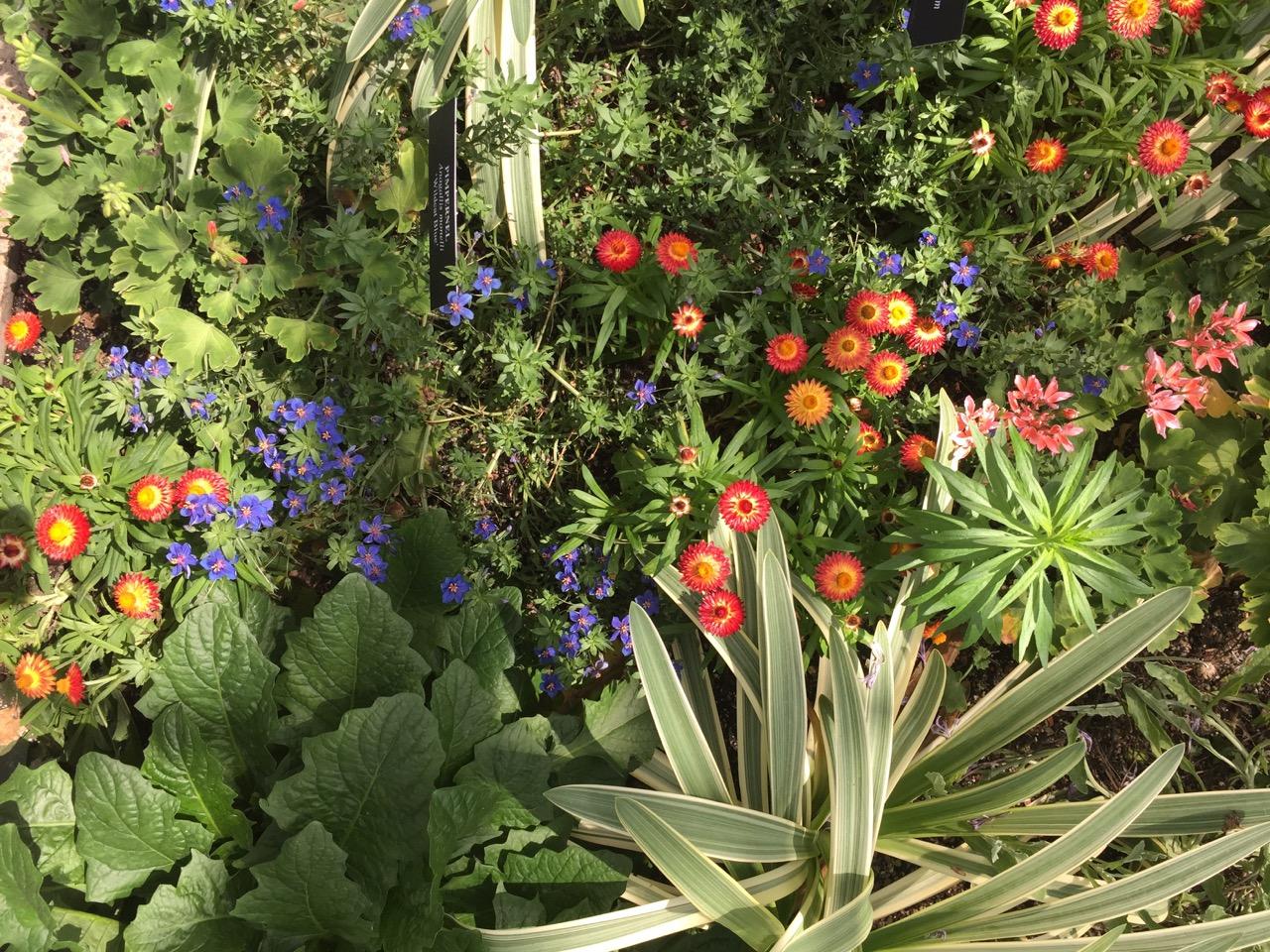 Longwood Gardens, PA
              (2017) : Photography : Susan Braha Photography and Fine Art
